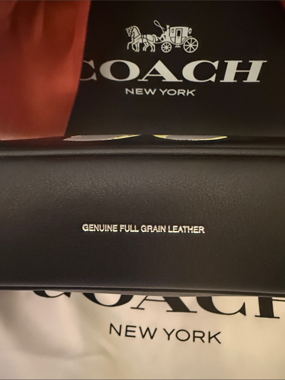 🖤💚Coach NWT Black Leather Plaza 18 Bag with Ellie Graphic & Silver Hardware - Picture 6 of 10
